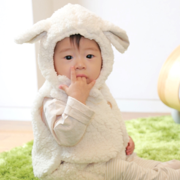 ふわふわひつじセット