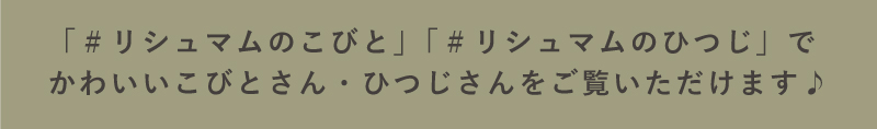 リシュマムのこびとさん・ひつじさん