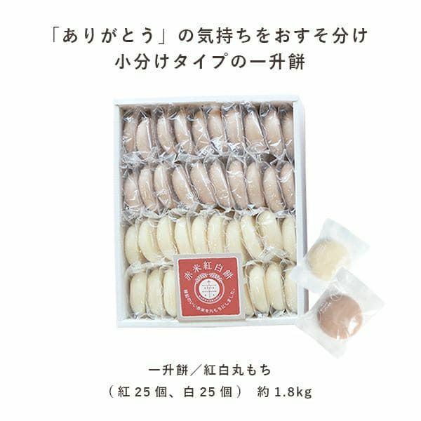 1歳誕生日ギフトに 女の子 男の子にも Lisumom リシュマム 名入れベビーリュック 一升餅セット 1歳誕生日ギフトに 女の子 男の子にも Lisumom リシュマム 名入れベビーリュック 一升餅セット